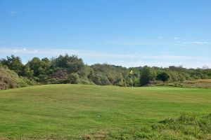 Darmor 3rd Green Side